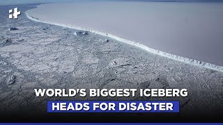 Iceberg A68 The World’s Biggest Iceberg Is Headed for a Disastrous Collision [upl. by Lehcnom]