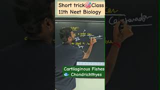 Cartilaginous Fishes🎯 short trick shorts animalkingdomclass11 neet education [upl. by Digirb]