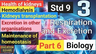 Class 9  Biology  Unit 3  Respiration and Excretion  Part 6 [upl. by Spindell]