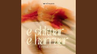 E shkuar e harruar [upl. by Mount]