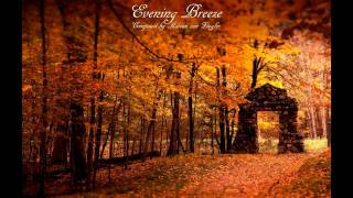 Relaxing Celtic Music  Evening Breeze [upl. by Nodnab]