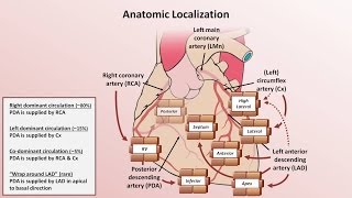 Intro to EKG Interpretation  Myocardial Infarctions Part 1 of 2 [upl. by Tildie]