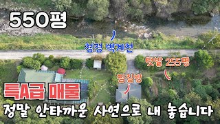 힐링주택할머니가 혼자 가꾼 사연 있는 주택 명당터 [upl. by Ayiak]