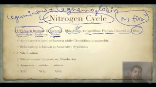 Earth System Science 1 Intro to ESS Lecture 9 The Rock Cycle and the Geological Timescale [upl. by Nesahc]