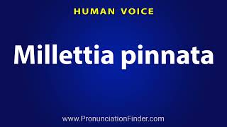 How To Pronounce Millettia pinnata [upl. by Ennayram]