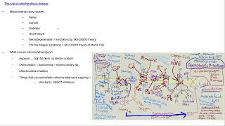 The role of mitochondria in disease [upl. by Artair]