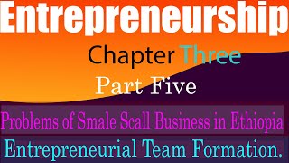 Entrepreneurship Chapter Three part five problem of small scall business in Ethiopia በአማርኛ [upl. by Conias]