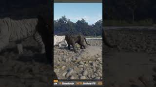 Bengal Tiger Spotlight  Fur Types and More  theHunter Call of the Wild shorts tiger [upl. by Nanam]