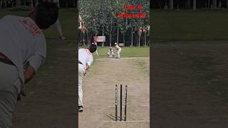 How to play left arm spinner cricket rohitsharma dhoni trending trendingshorts viratkohli csk [upl. by Hasina]