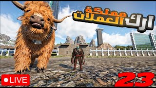 🔴 ارك مملكة العملات 23  سيرفر نمسيس للحياه الواقعية Ark Survival Evolved [upl. by Niamreg]