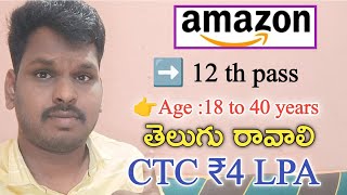 Amazon Work From Home  Salary ₹45000😍  💻 ఇస్తాము  Home Jobs [upl. by Latton]