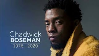 Chadwick Boseman Tribute amp FuneralFinal Tribute [upl. by Volotta445]