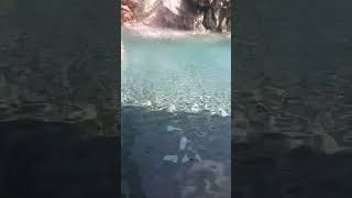 🌊Guhantara resort water falls Bangaloreresort waterfall water shorts bangalore holiday happy [upl. by Nomad]