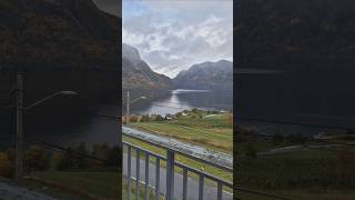 The best morning view fjords norway shorts mountainview travel [upl. by O'Hara]