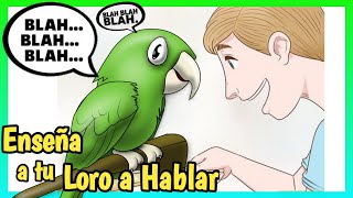 COMO ENSEÑAR AL LORO a HABLAR ¡Rápido y Fácil Como hacer que hable el Loro [upl. by Rorrys]