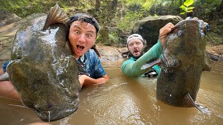 CATFISH Noodling For RIVER MONSTERS w Ayo Fishing First Time [upl. by Ytak]