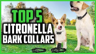 ✅Top 5 Best Citronella Bark Collars in 2024 [upl. by Barnum]