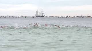 Rottnest Channel Swim Live Stream [upl. by Ferullo]