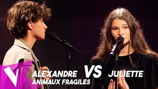 Ycare amp Zaz  Animaux fragiles ● Alexandre amp Juliette  Duels  The Voice Belgique Saison 11 [upl. by Montana722]