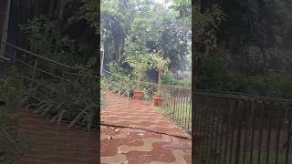 🌧️🌧️🌧️🌧️vandalur tamilsongkarkakasatara [upl. by Akym]