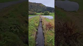 Driving around Nordfjordeid norway norwaynature [upl. by Jahncke]