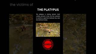 Do you know about Platypus [upl. by Honebein]