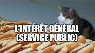 Lintérêt général critère du service public [upl. by Phebe]