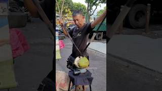 Malaysian coconut master cutting coconuts in the most special way [upl. by Lacy766]