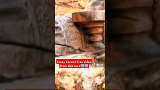 mysterious Ancient Crazy carved oak Tree history who carved it and when [upl. by Eiuqram]