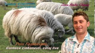 CANTECE CIOBANESTI COLAJ LIVE 2015 PUIU FAGARASANU [upl. by Joellyn392]