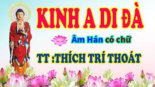 KINH A DI ĐÀ  có chữ TT  Thích Trí Thoát [upl. by Filberto]