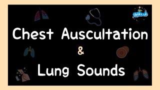 Chest auscultation amp Lung sounds OSCE guide عربي [upl. by Wolenik]