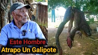 Atrapó un Galipote este Hombre de Campo [upl. by Plante96]