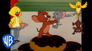 Tom amp Jerry  Jerrys Best Allies 🐭  Classic Cartoon Compilation  wbkids​ [upl. by Devin]