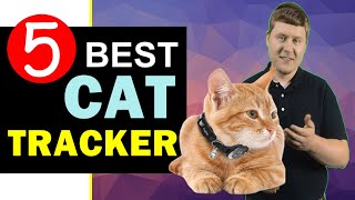 Best Cat Tracker 2024 🏆 Top 5 Best Cat Tracker Reviews [upl. by Suolkcin]