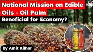 Oil Palm Cultivation under National Mission on Edible Oil Is it beneficial for Indian Economy UPSC [upl. by Corri]