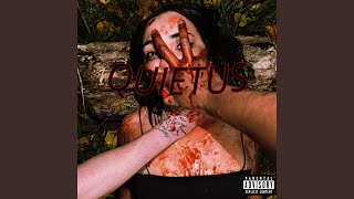 Quietus Explanation [upl. by Ileane]