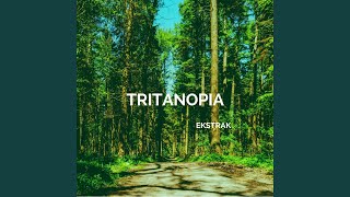 Tritanopia [upl. by Ardeen]