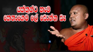 යක්කුන්ට හැම කෙනාගෙම ලේ බොන්න බෑ  Hodama Welawa [upl. by Had]