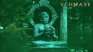 Guided Meditation for Healing Trauma  Guided Vedic Meditation  Guided Metta Meditation [upl. by Hadik62]