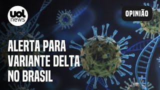 Variante delta aumento de casos no Brasil causa angústia em cientistas comenta imunologista [upl. by Naenej]