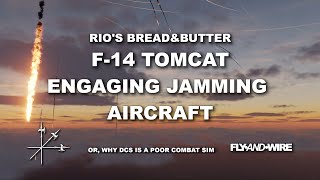 F14  Engaging Jamming Aircraft Or Why DCS is a Poor Combat Sim [upl. by Clerc834]