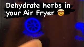 Dehydrating Herbs in an Air Fryer [upl. by Incrocci]