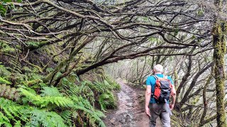 Tenerife 4K 🇪🇦  Circural Afur  Taganana Playa de Tamadiste [upl. by Halette]