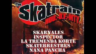 Amargo Adios  Inspector  Skatrain [upl. by Nirra]