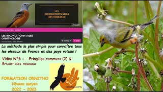 Oiseaux de France 6  les fringilles communs 2 et le Bruant des roseaux avec la Formation Ornitho [upl. by Hevak]