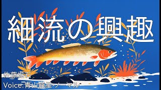 細流の興趣  佐藤垢石  青空文庫朗読【青山龍星ノーマル】 [upl. by Rolanda]