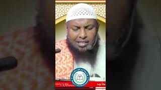 Markaad dhimato dabadeed camalkaagu umbaa wax ku tari doono [upl. by Ahtael753]