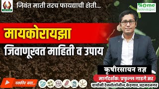 मायकोरायझा जिवाणूखत माहिती आणि उपाय [upl. by Aralc]