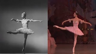 Evolution of Sugarplum over the Years Mariinsky [upl. by Inanuah143]